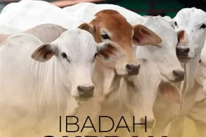 ESENSI DARI MAKNA QURBAN IBRAHIM AS