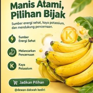 Tumpukan pisang cavendish segar warna kuning cerah dari distributor pisang cavendish Kediri